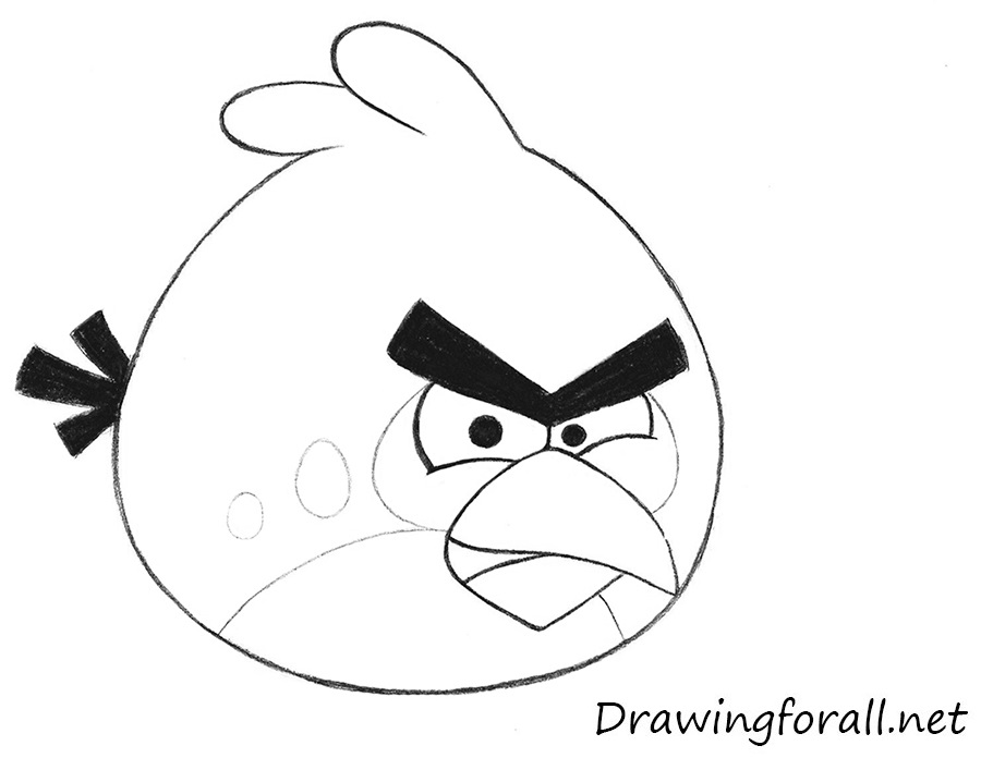 Angry Bird Drawing Beautiful Image
