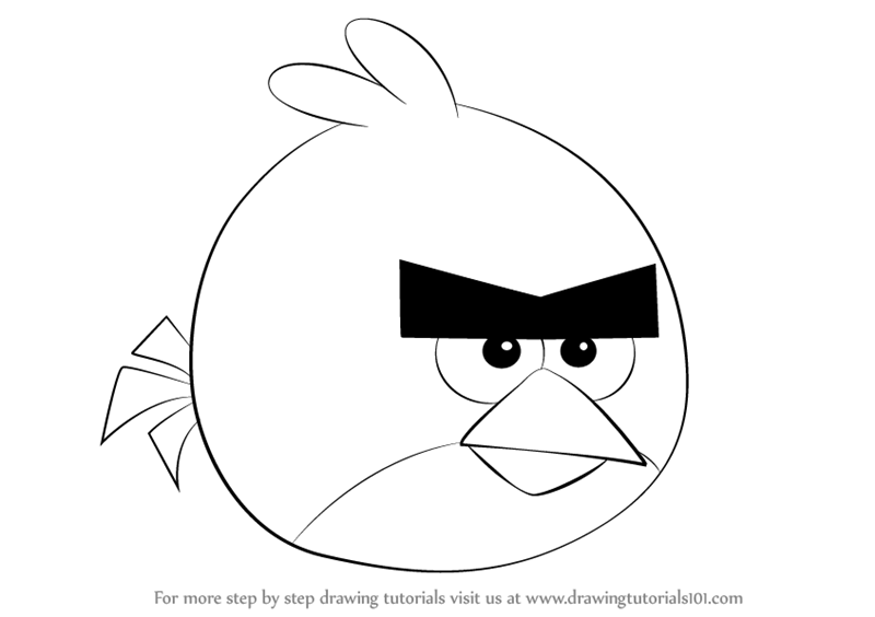 Angry Bird Drawing Photo