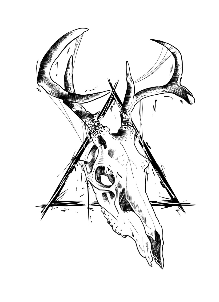 Animal Skull Art Drawing