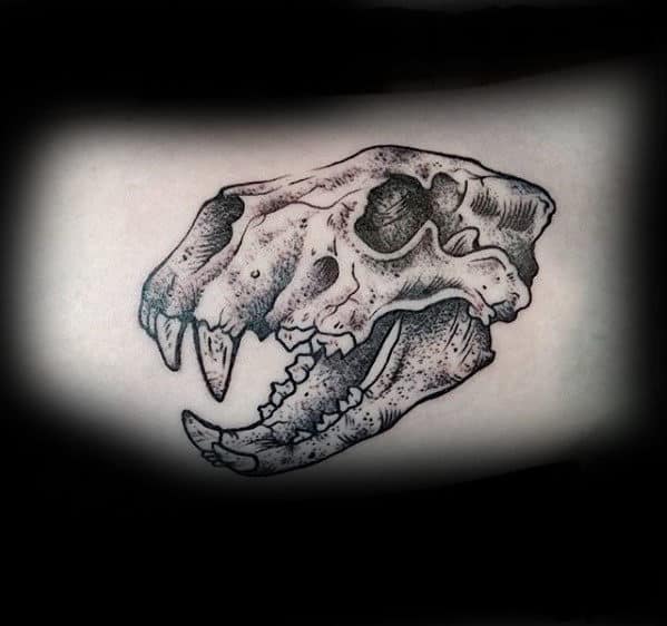 Animal Skull Drawing Images