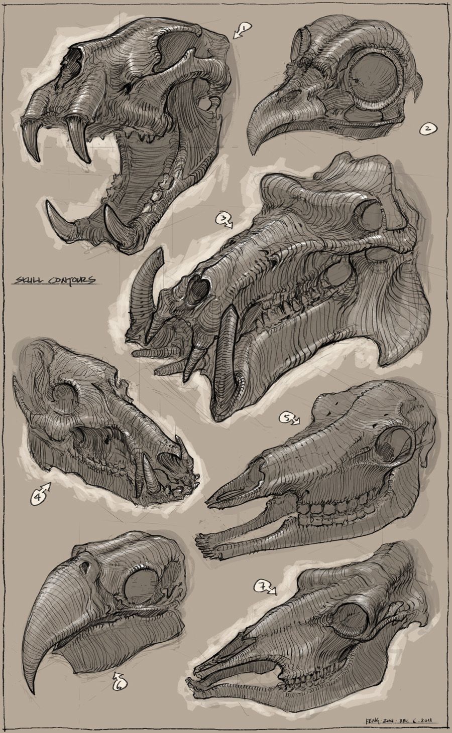 Animal Skull Drawing Pictures