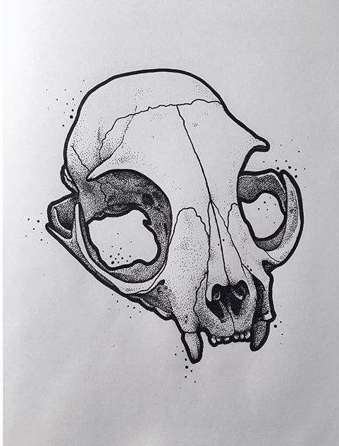 Animal Skull Drawing Sketch