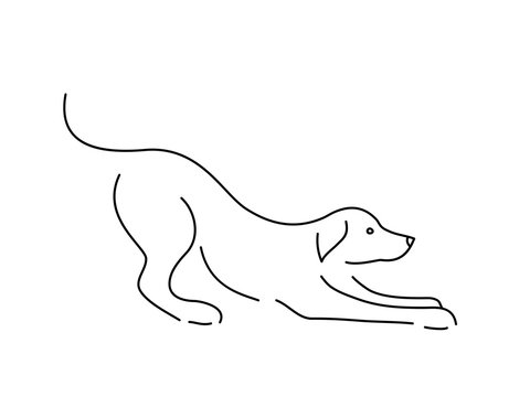 Animals Line Art Drawing