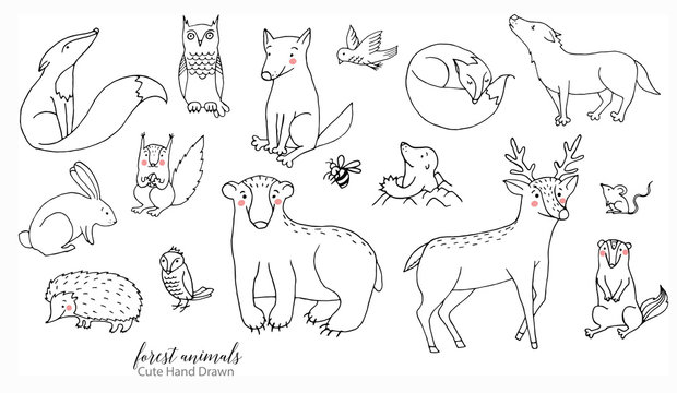 Animals Line Drawing High-Quality