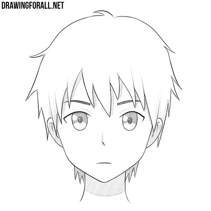 Anime Face Drawing Pictures
