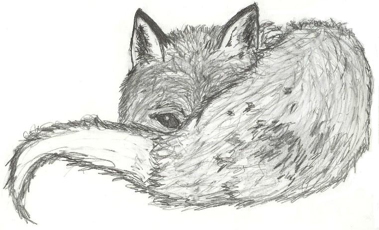 Anime Fox Drawing Sketch