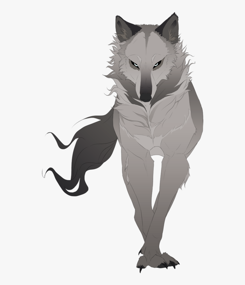 Anime Wolf Art Drawing