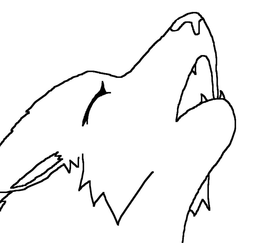Anime Wolf Drawing Photo