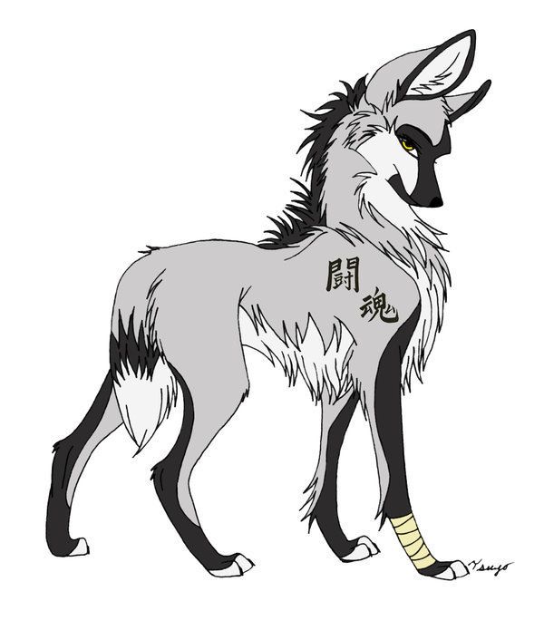 Anime Wolf Drawing Picture