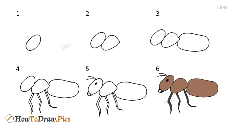 Ant Drawing High-Quality