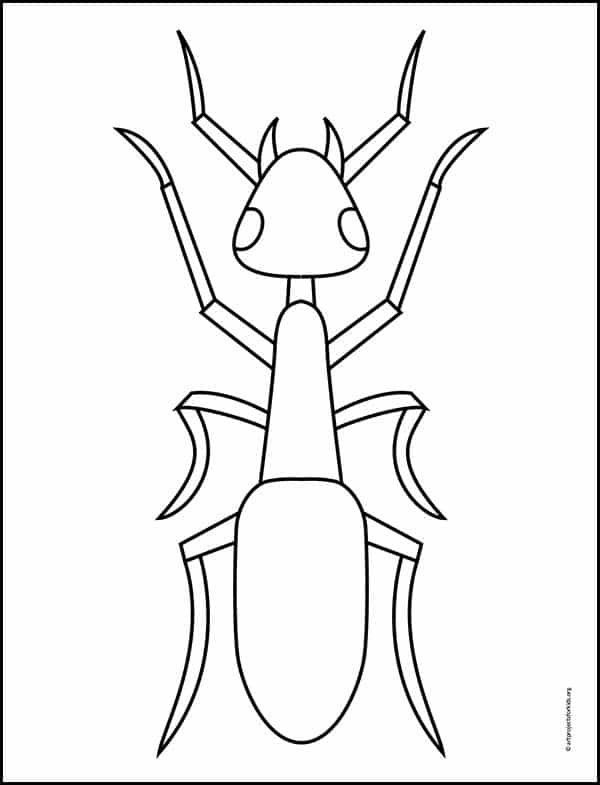 Ant Drawing Image
