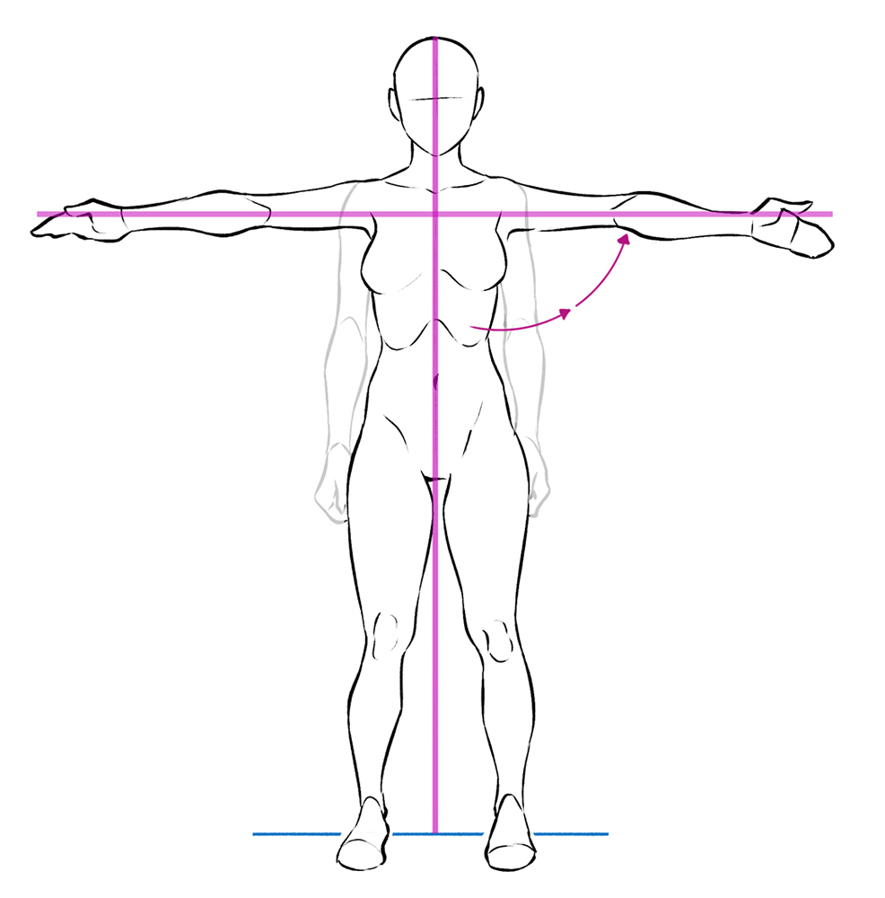 Arm Anatomy Drawing Picture
