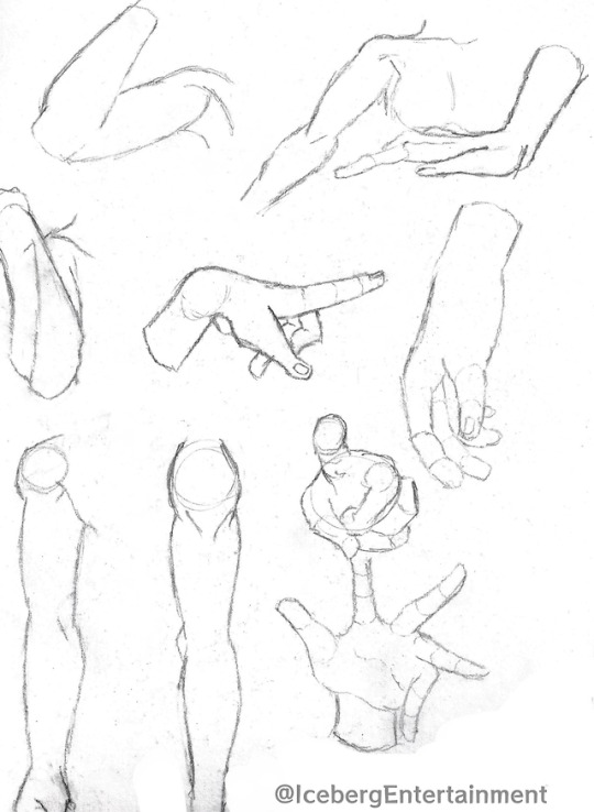 Arm Reference Drawing Beautiful Image