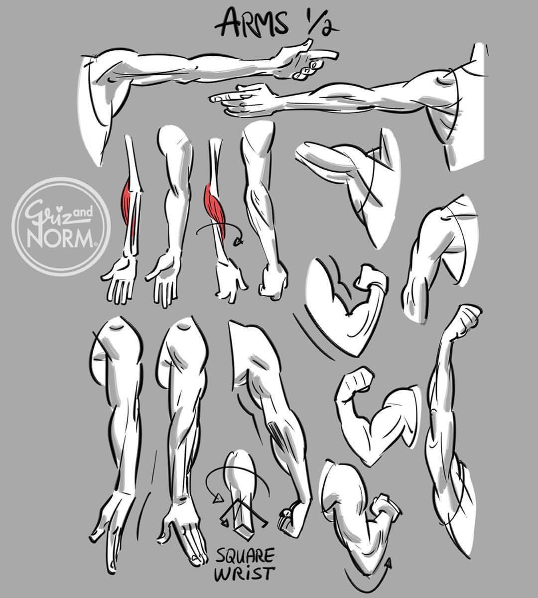 Arm Reference Drawing Image