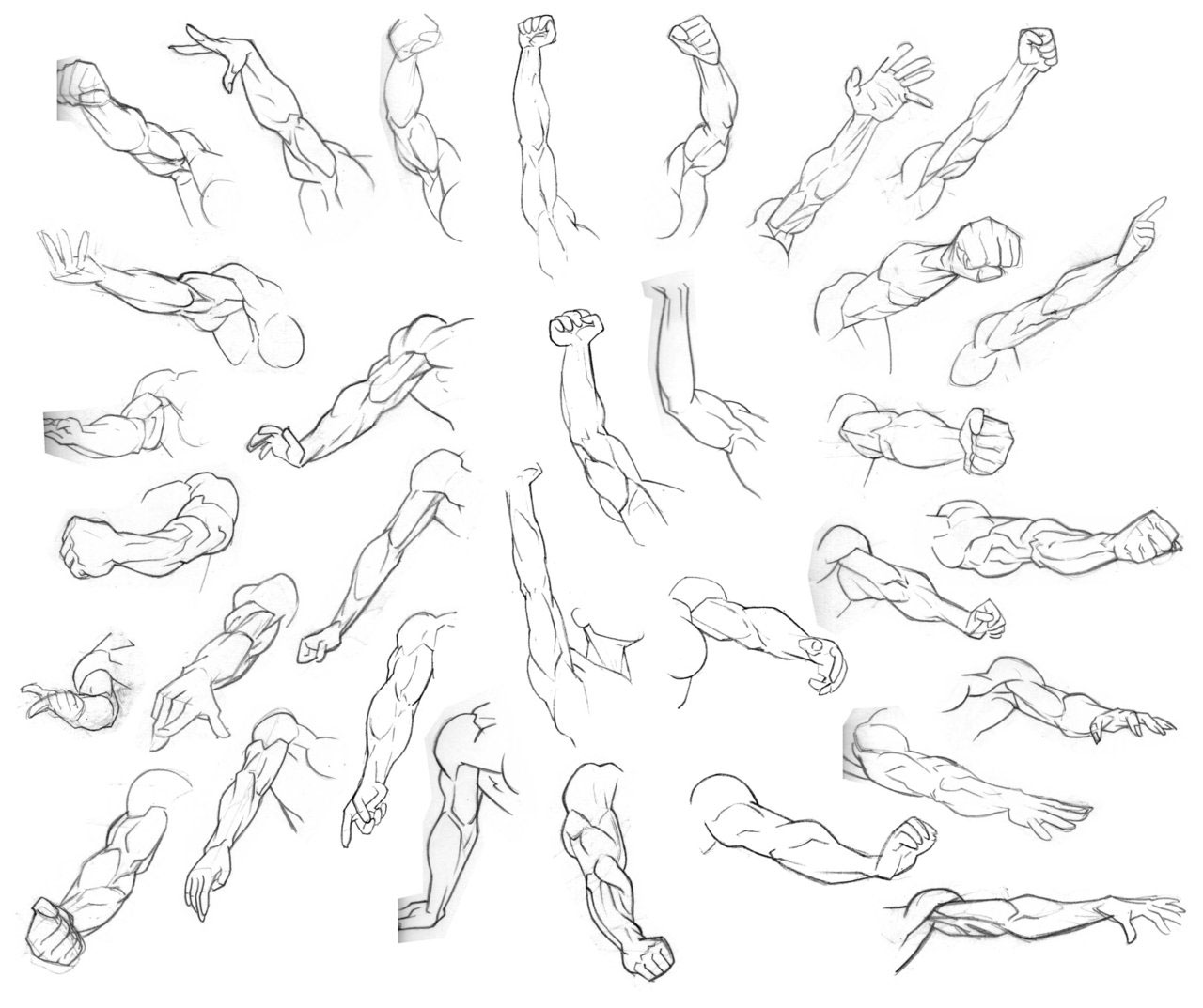Arm Reference Drawing Images