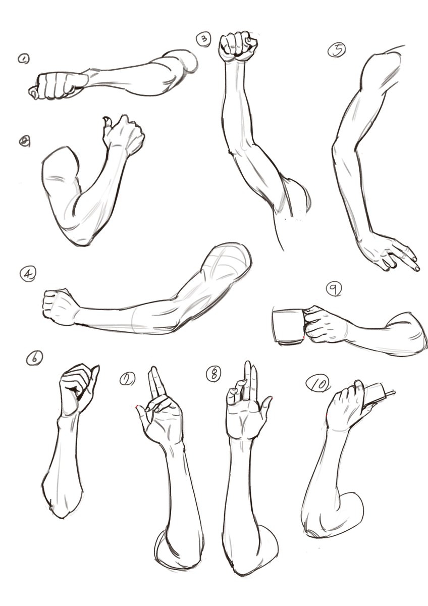 Arm Reference Drawing Pic