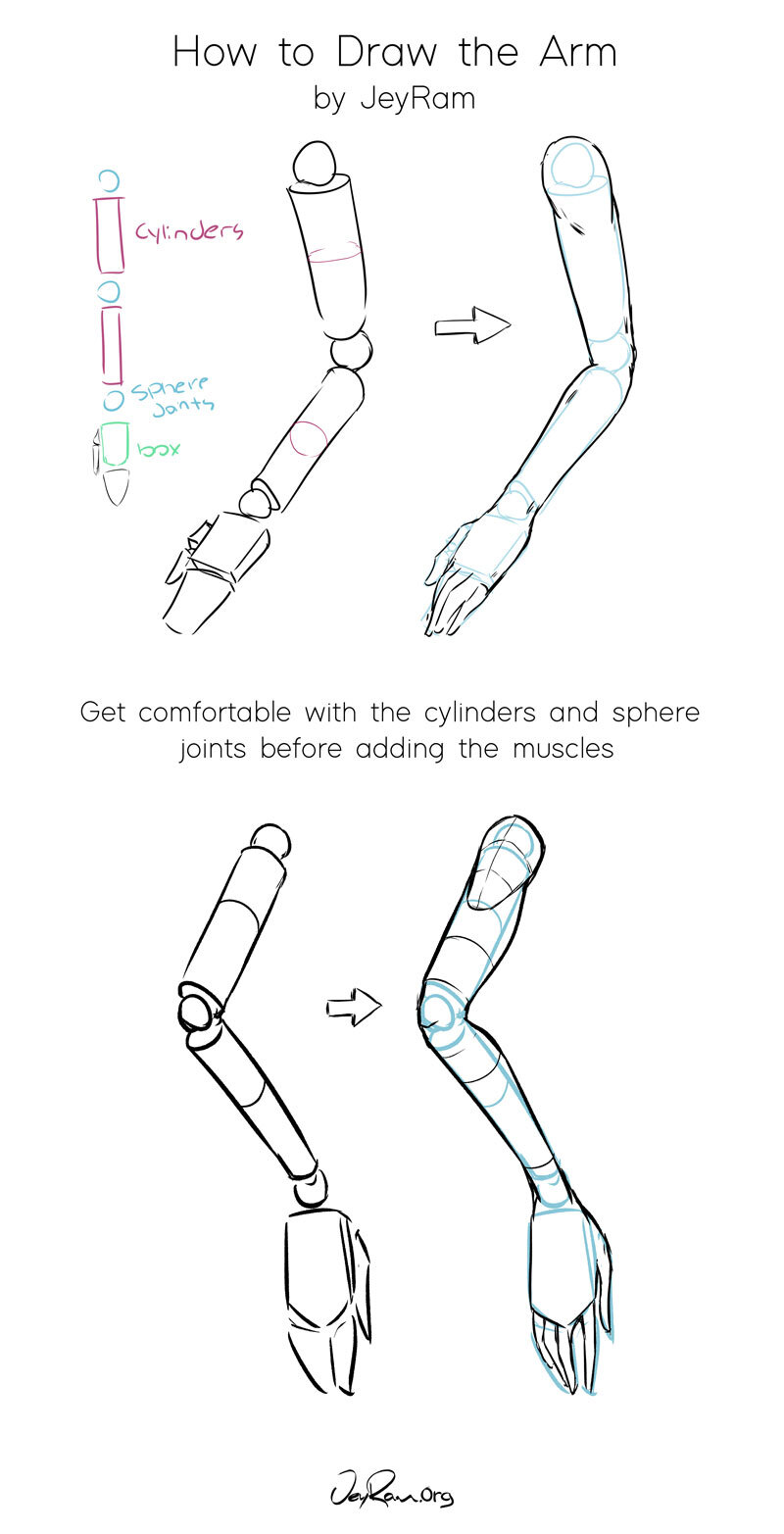 Arm Reference Drawing Picture
