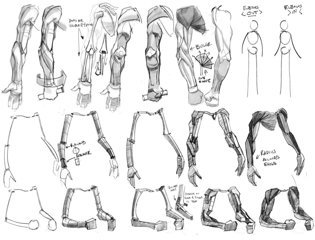 Arm Reference Drawing