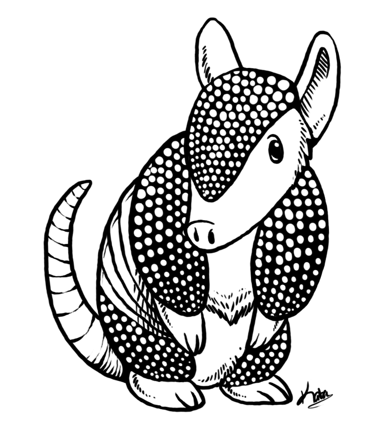 Armadillo Drawing Amazing