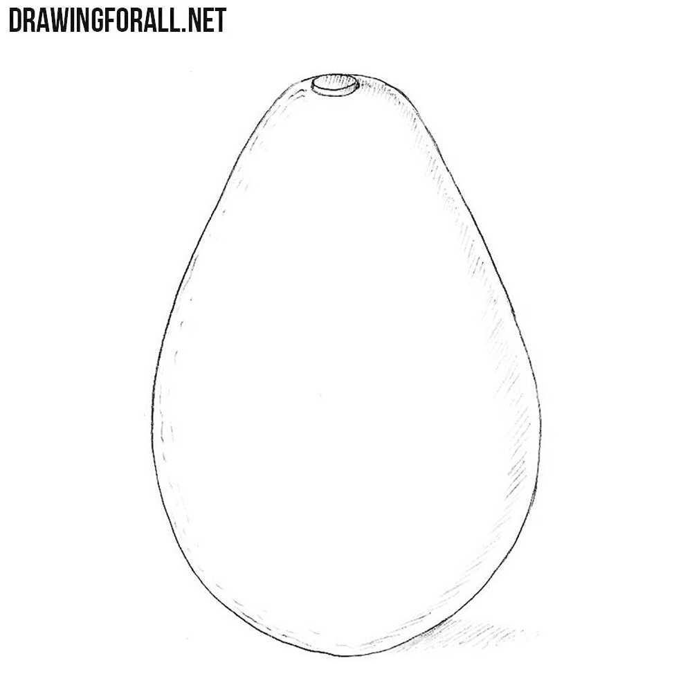 Avocado Art Drawing