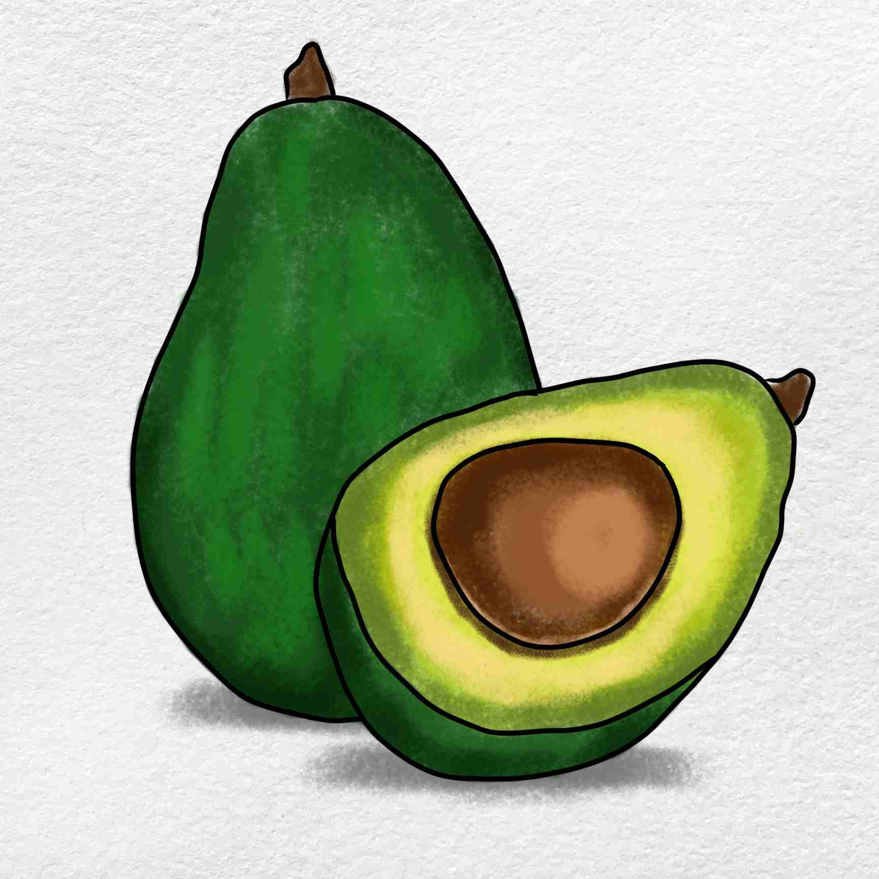Avocado Best Drawing