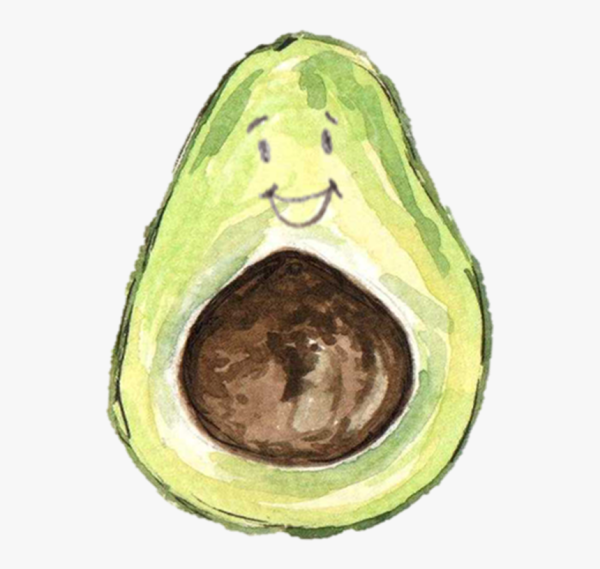 Avocado Drawing Amazing