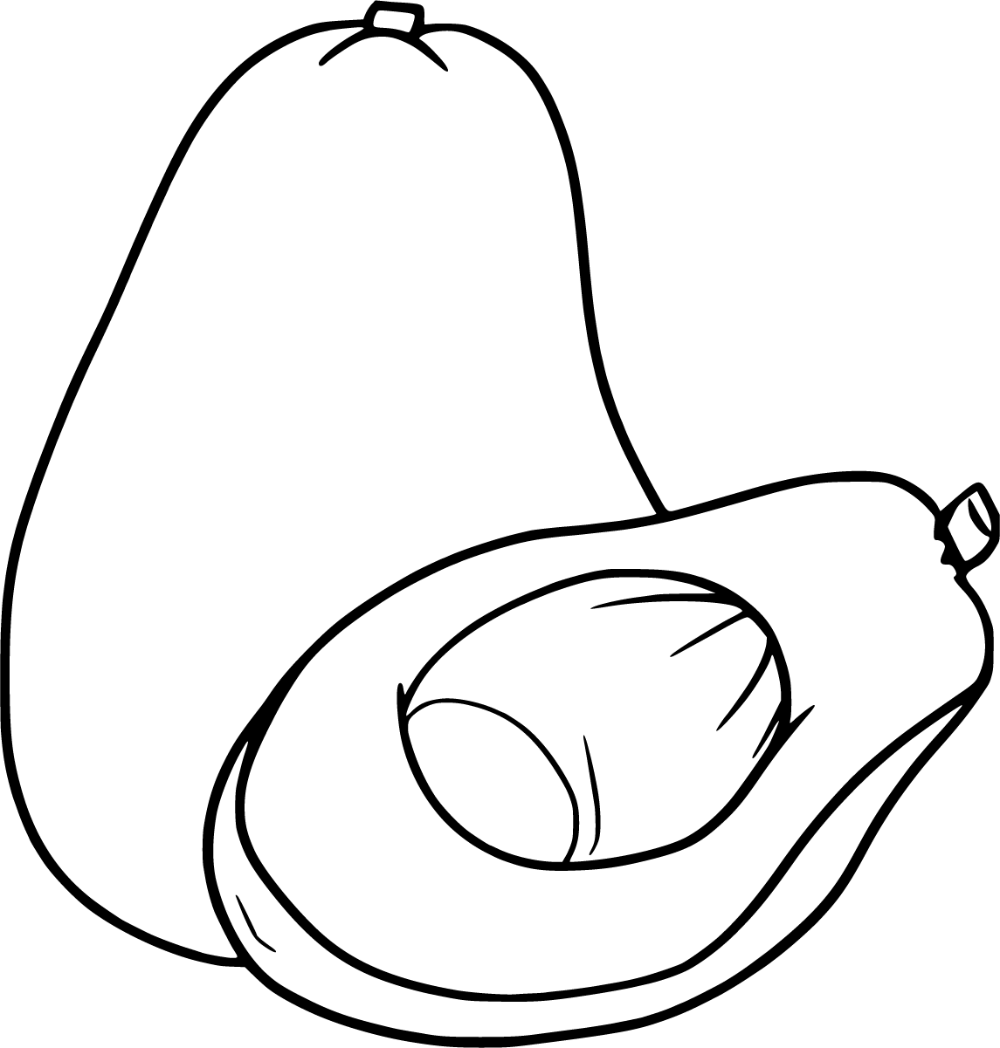 Avocado Drawing High-Quality