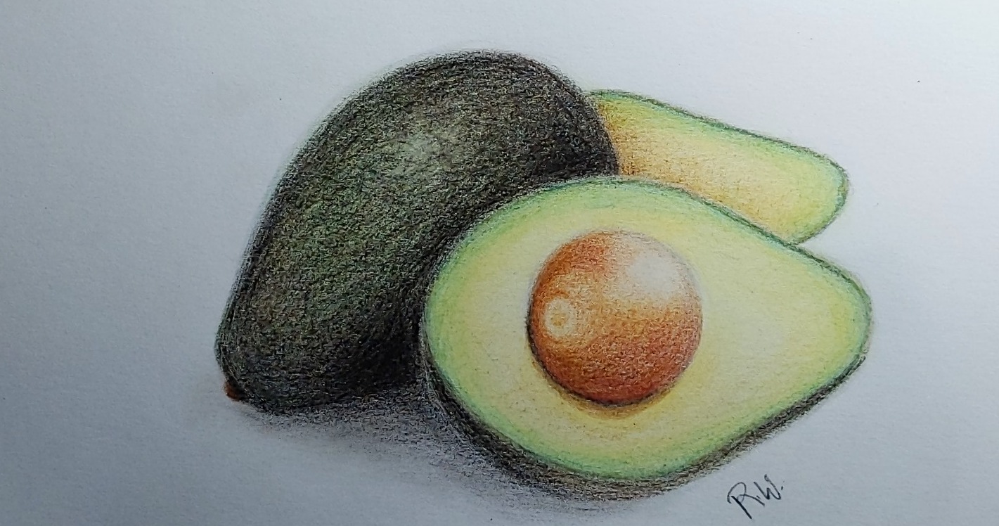 Avocado Drawing Image