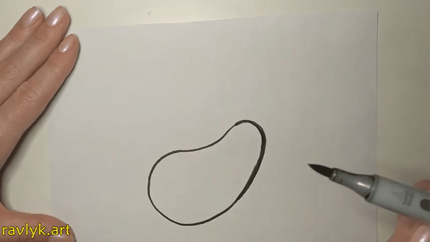 Avocado Drawing Pics