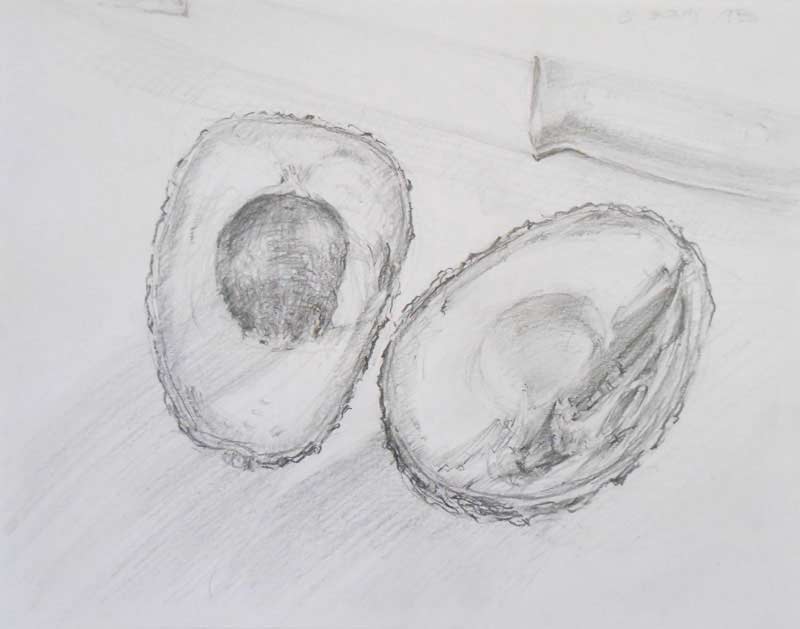 Avocado Drawing Realistic