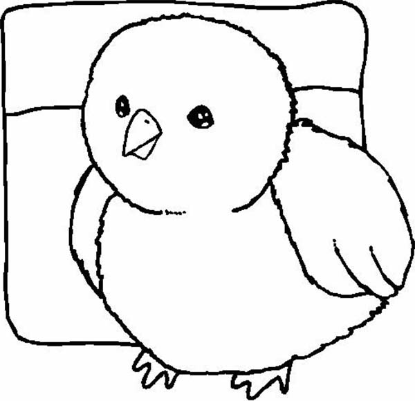 Baby Chick Art Drawing