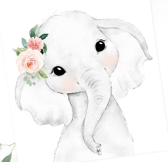 Baby Elephant Drawing Beautiful Image