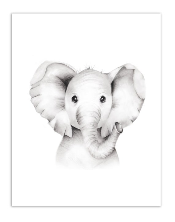 Baby Elephant Drawing Image