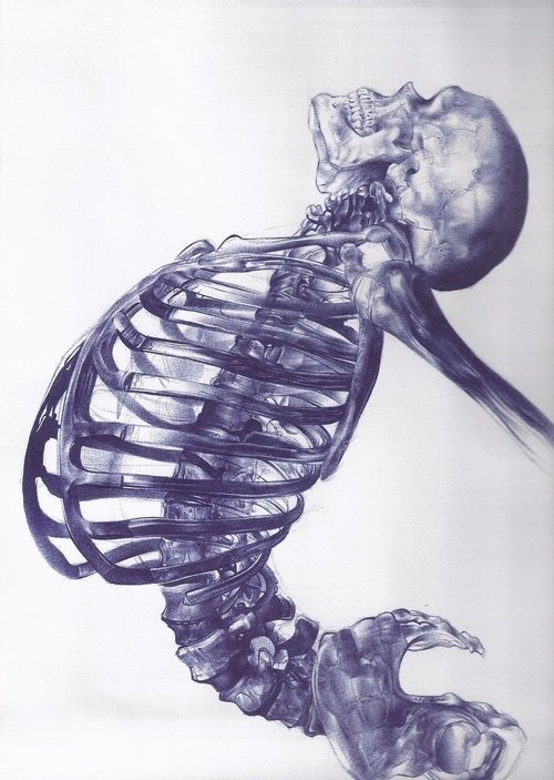 Ballpoint Pens Drawing Pictures