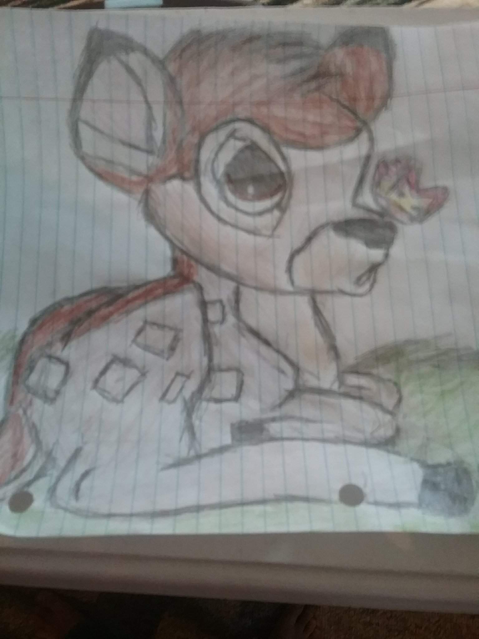 Bambi Drawing Realistic