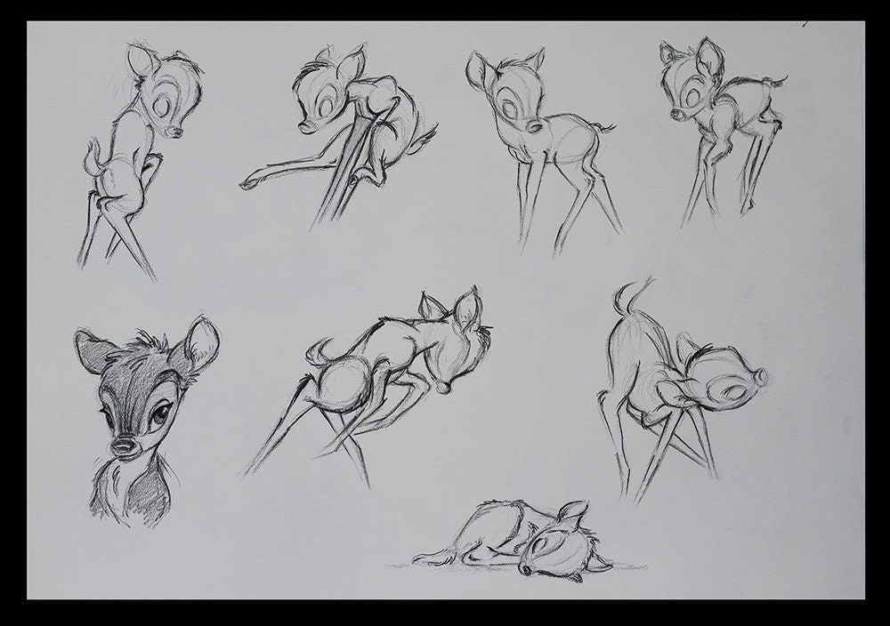 Bambi Drawing Sketch