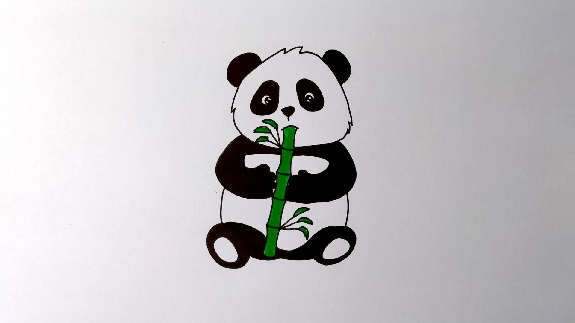 Bamboo Best Drawing