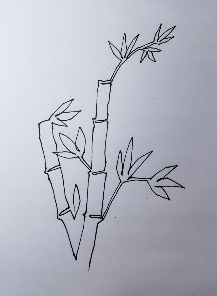 Bamboo Drawing Creative Art