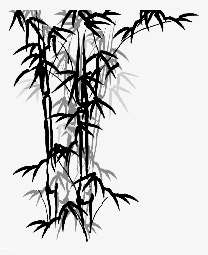 Bamboo Drawing Image