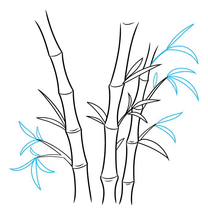 Bamboo Drawing Images