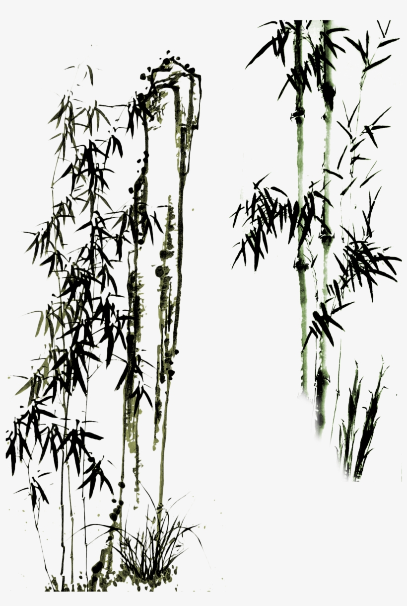 Bamboo Drawing Photo