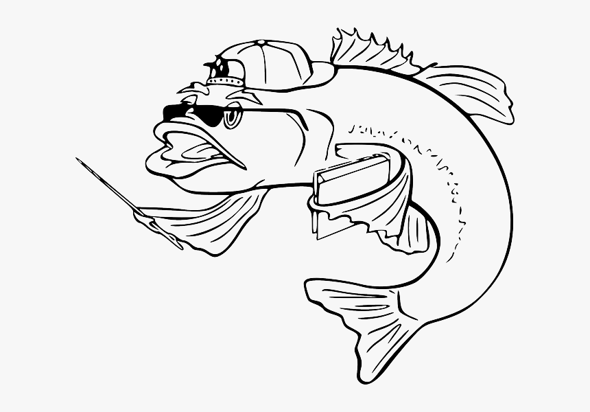 Bass Drawing Image