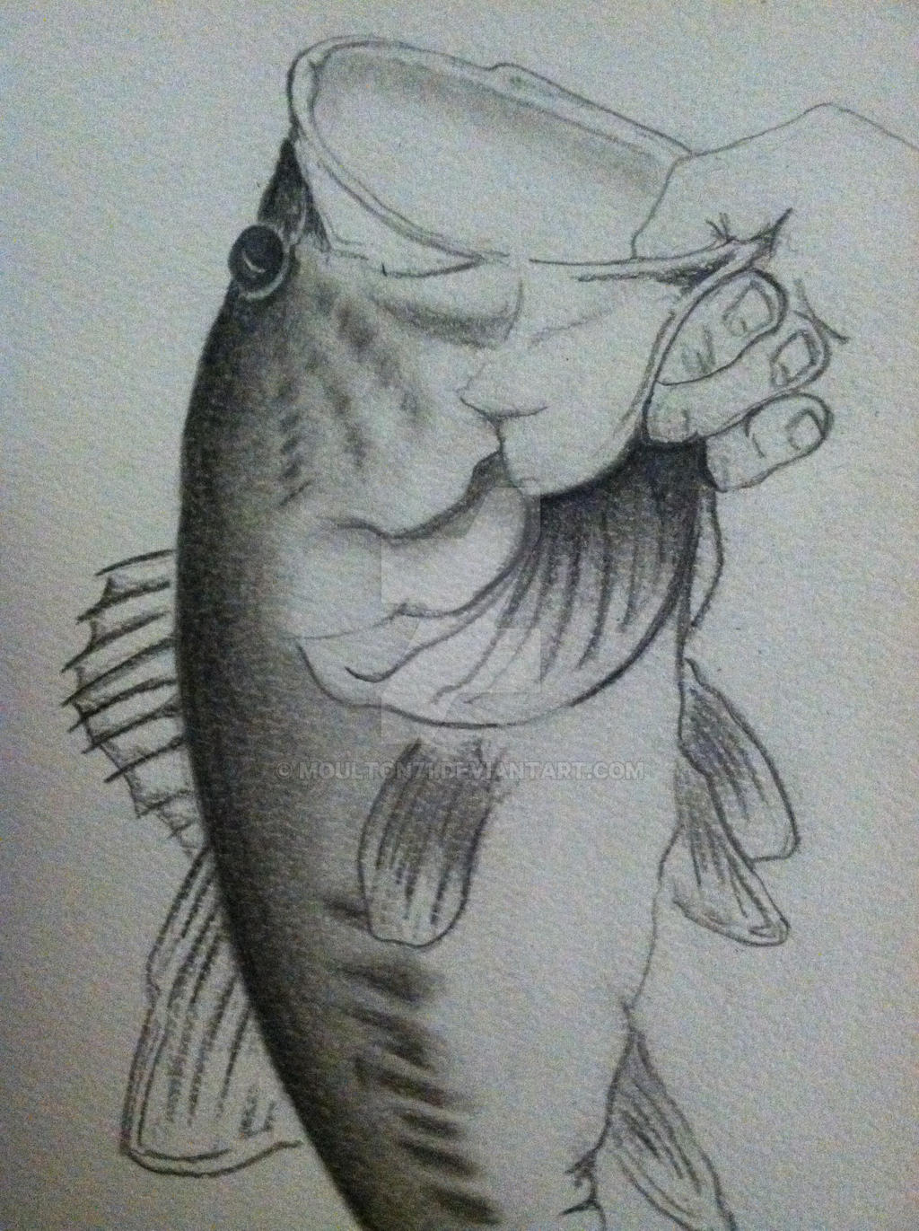 Bass Drawing Images