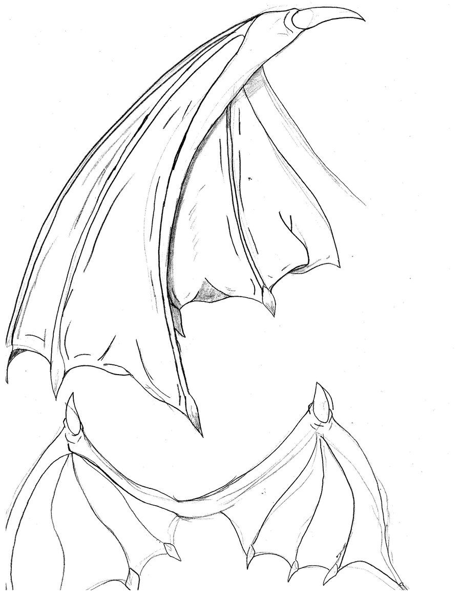 Bat Wing Drawing High-Quality