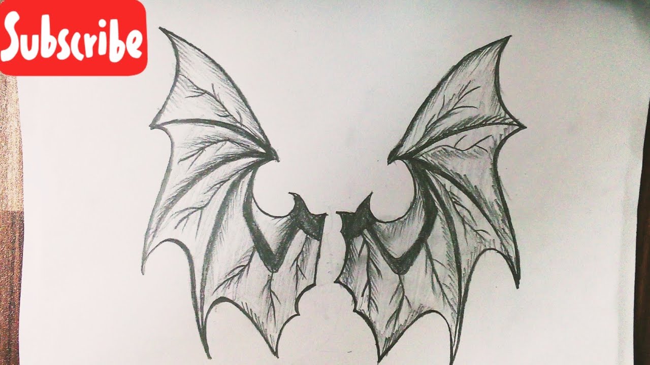 Bat Wing Drawing Image