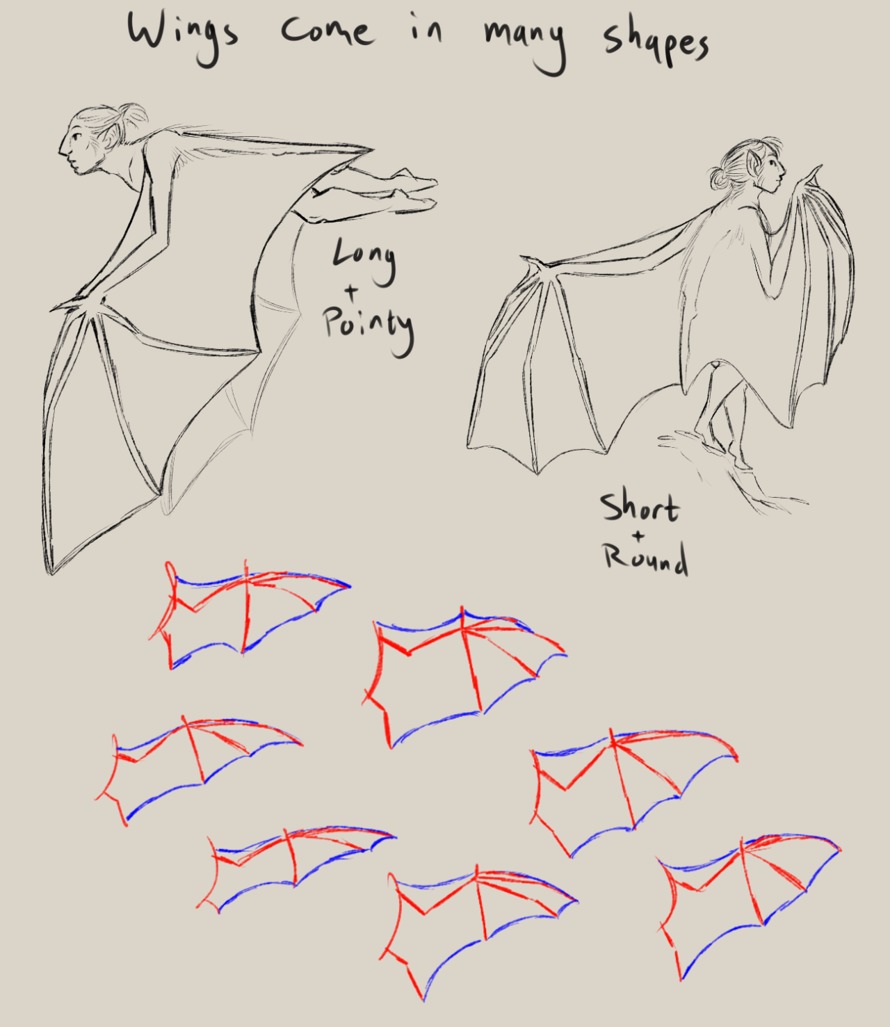 Bat Wing Drawing