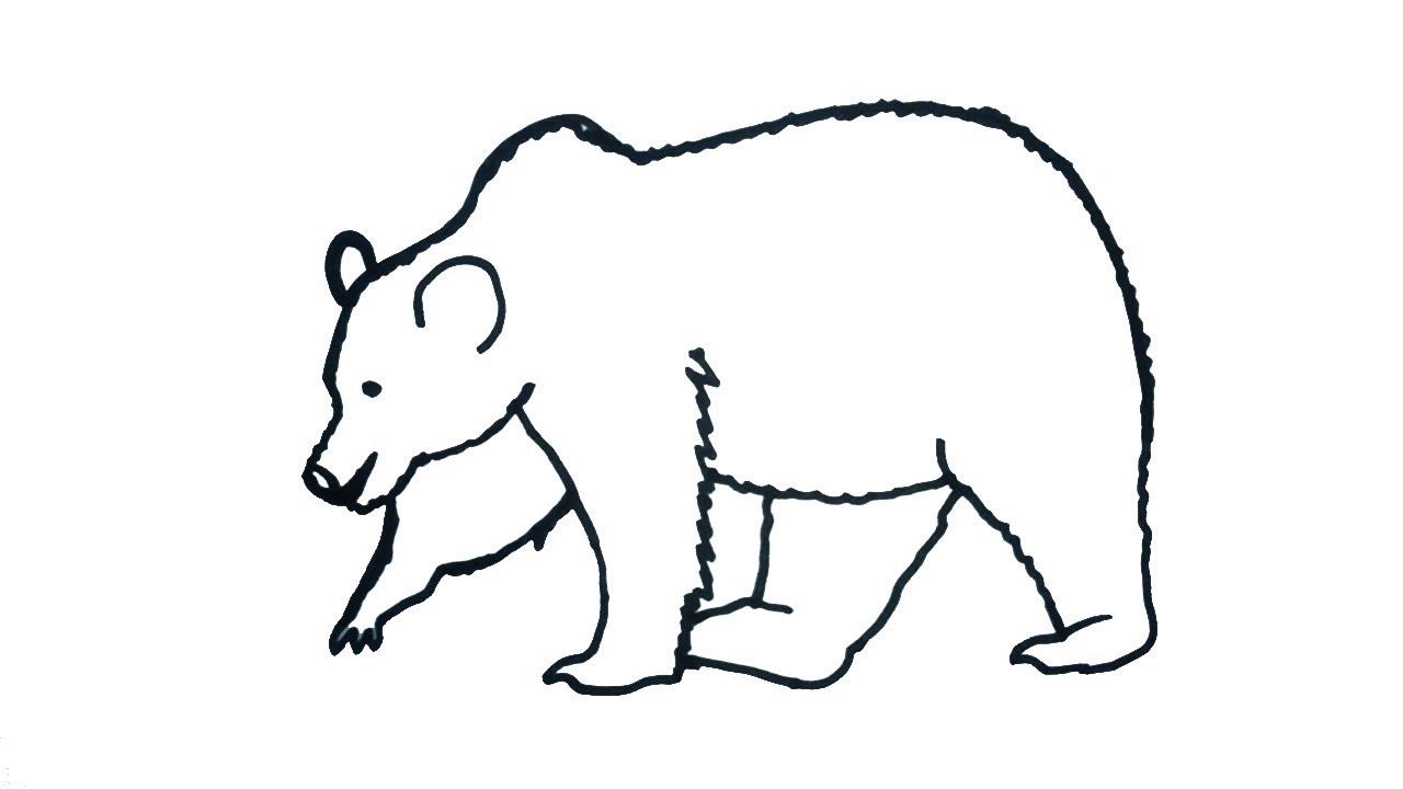 Bear Simple Drawing Beautiful Image