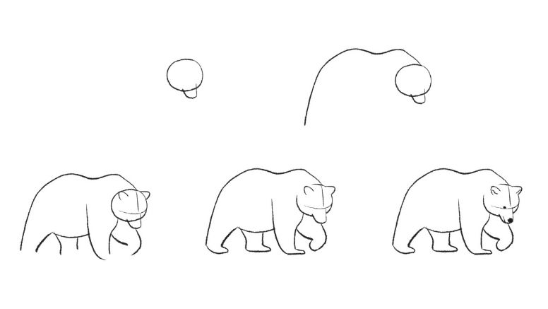 Bear Simple Drawing Images