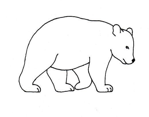 Bear Simple Drawing