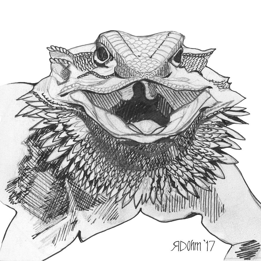 Bearded Dragon Drawing Pic